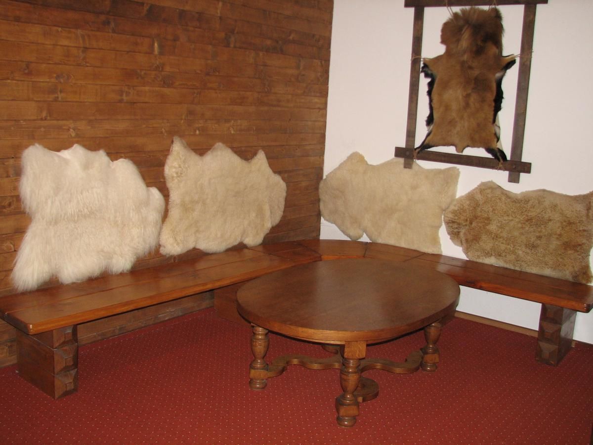 Отель Альпийский Двор Славское-29