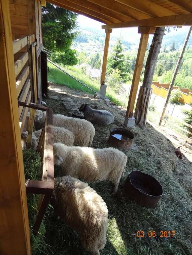 Отель Альпийский Двор Славское-25