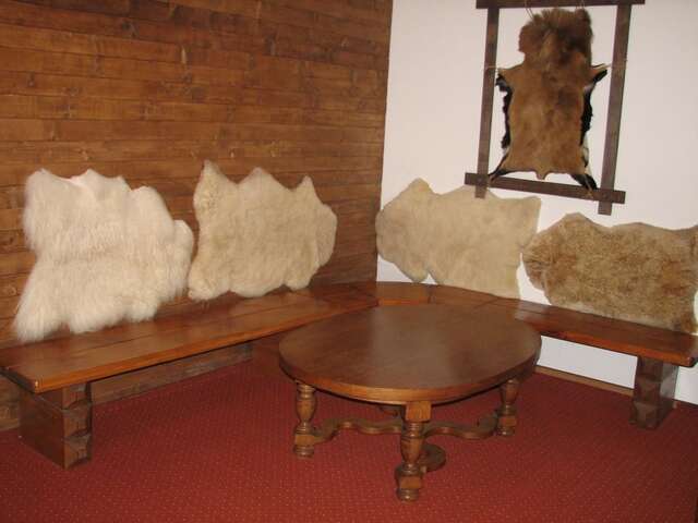 Отель Альпийский Двор Славское-28